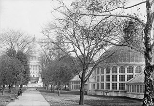 Botanical Gardens At The Capitol, 1917.