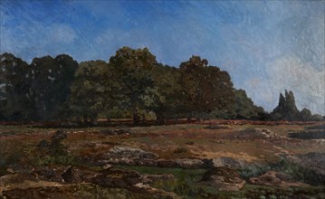 Edge of the forest of Fontainebleau, 1865.