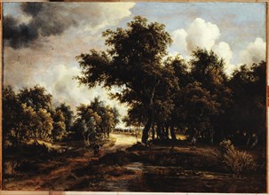 Path in the forest, between 1658 and 1709.
