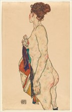 Standing Nude with a Patterned Robe, 1917.