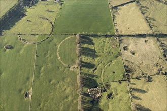 Three of the Priddy Circles, Somerset, 2016.