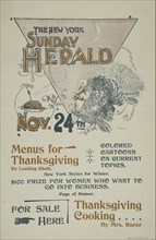The New York Sunday herald. Nov. 28th., c1895.