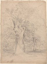An Ancient Tree with Figures in a Landscape, c. 1835.