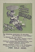 The New York Sunday herald. August 25th 1895., c1895.
