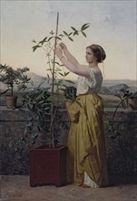 Tutelle, c.1861. Woman attaching climbing plant to support.