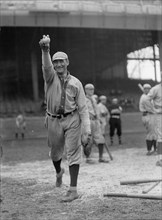 Alva "Rip" Williams, Washington American League (Baseball), 1912.