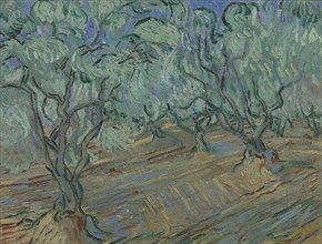 Olive grove, 1889. Found in the collection of the Van Gogh Museum, Amsterdam.