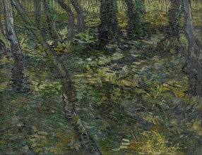 Undergrowth, 1889. Found in the collection of the Van Gogh Museum, Amsterdam.