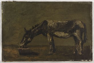 L'âne, between 1862 and 1863. A donkey seen in profile eats its oat ration in a feeder.