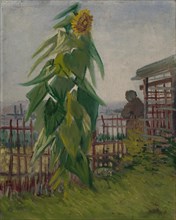 Allotment with Sunflower, 1887. Found in the collection of the Van Gogh Museum, Amsterdam.
