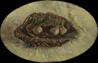 Basket of Hyacinth Bulbs, 1887. Found in the collection of the Van Gogh Museum, Amsterdam.