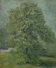 Blossoming Chestnut Tree, 1887. Found in the collection of the Van Gogh Museum, Amsterdam.