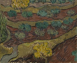 Olive Trees on a Hillside, 1889. Found in the collection of the Van Gogh Museum, Amsterdam.