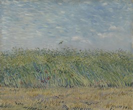 Wheatfield with Partridge, 1887. Found in the collection of the Van Gogh Museum, Amsterdam.