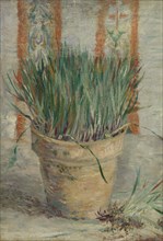 Flowerpot with Garlic Chives, 1887. Found in the collection of the Van Gogh Museum, Amsterdam.