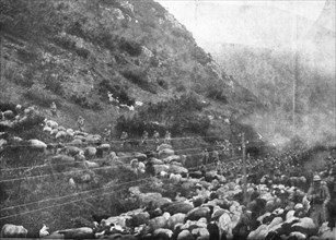 'Le repli des troupes Francaises vers Salonique; --Passage du defile de Demir-Kapou..., 1916. Creator: Unknown.