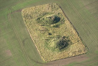 Two Bronze Age bell barrow earthworks known as The Warrior Barrows, Blewbury Down, Oxon, 2017. Creator: Damian Grady.