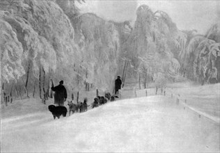 'Skieurs et chiens de guerre dans les neiges vosgiennes; Equipage de chiens de transport..., 1916. Creator: Unknown.