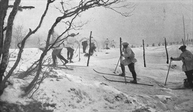 'Skieurs et chiens de guerre dans les neiges vosgiennes; Sur les hauteurs du Lingekopf..., 1916. Creator: Unknown.