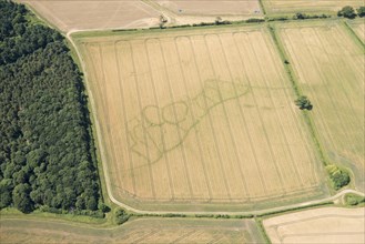 Cropmarks of an Iron Age and Roman settlement, West Northamptonshire, 2017.
