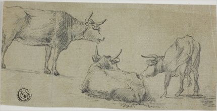 Three Sketches of Cows, n.d.