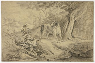 Hunting Dog in Woods, n.d. Attributed to James Barenger the younger.