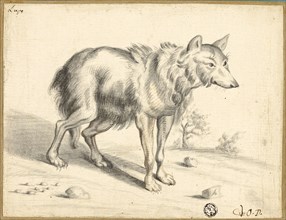 Wolf, 1655. Attributed to Jan van Os.
