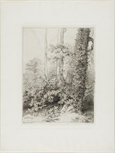 Bramble and Ivy, 1845.