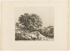 The Bouquet of Trees, or The Lindens (Souvenir of the Sarthe), 1861.