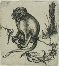 A Chained Monkey, 1559/1596.