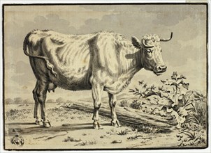 Cow, n.d. Possibly after Karel Dujardin.