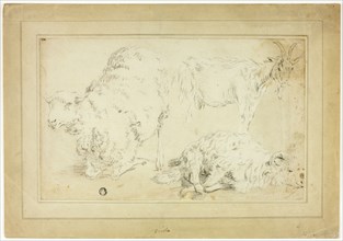 Sketches of Sheep and Goat, 18th century.