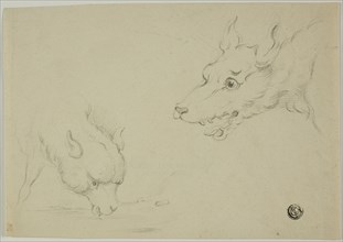 Wolf and Lamb, n.d.