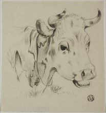 Cow's Head, n.d.