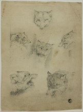 Six Sketches of Wolf Heads, n.d.
