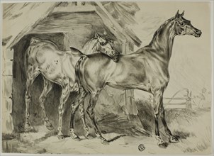 Standing Mare and Colt, n.d.