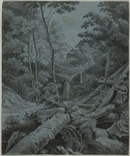 Waterfall and Fallen Logs in Forest, n.d.