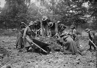 Girl Scouts Gardening, 1917.