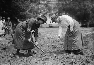 Girl Scouts Gardening, 1917.
