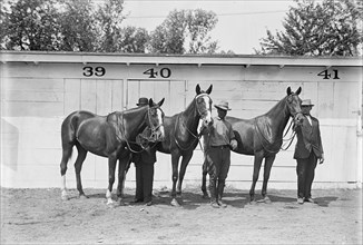 Hazen, Melvin C., Horse Show; His Horses, 1914.