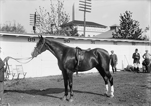 Horse Shows - Clay Bailey, 1914.