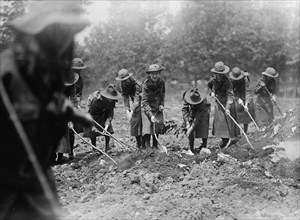 National Emergency War Gardens Com. - Girl Scouts Gardening at D.A.R., 1917.