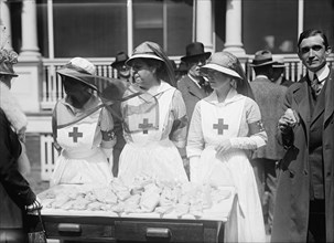 Red Cross Luncheon On General Scott's Lawn - Ladies; Shipps, Right, 1917.