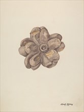Wood Carving - Flower, c. 1939.