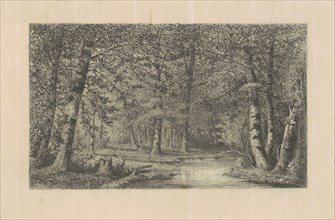 Beech Forest, 1870s-1880s.