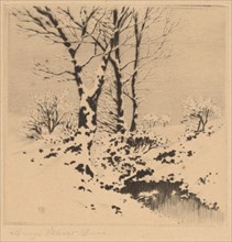 Snow, c. 1910.