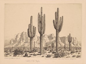 Desert Sentinels, Apache Trail, Arizona, c. 1930.