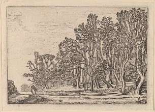 Two Plank Hedges, 1621.