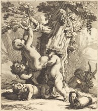 Putti and Fauns Climbing a Grapevine, 1650s.