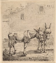 Two Asses, 1652.